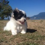 Profile Picture of Ruth Talbot (@rileytalbot) on Instagram