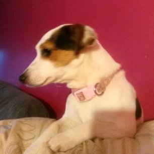 Profile Picture of Colin Heath (@ColinHe21265538) on Twitter