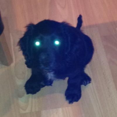 Profile Picture of Travis Abbott (@Travattak1) on Twitter