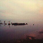 Profile Picture of nina keyvan (@nina_keyvan) on Instagram