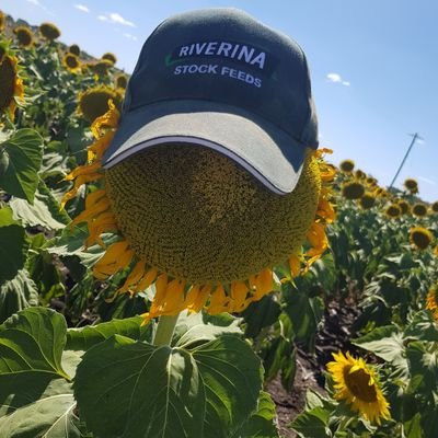 Profile Picture of Timothy Steele (@stainless82) on Twitter