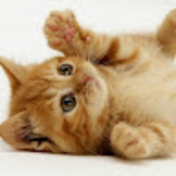 Profile Picture of Patient Croissant (@stolencroissant) on Poshmark