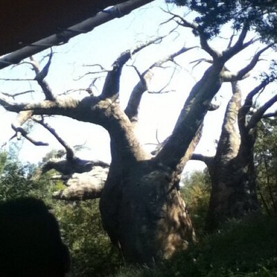 Profile Picture of Connor Dorr (@lacker961) on Twitter