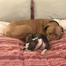 Profile Picture of Sarah Hefele (@hefele0238) on Pinterest