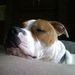 Profile Picture of Keith Kovach (@keithkovach) on Pinterest