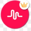 Profile Picture of Tommy Gilliam (@@tommygilliam) on Tiktok
