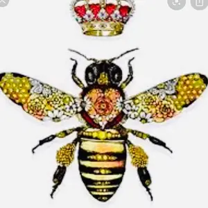 Profile Picture of Tiger Quintero (@quintero1991) on Tiktok