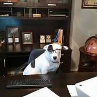 Paul Mccallister - Quora Profile Picture of Paul Mccallister (@paul-mccallister-4) on Quora