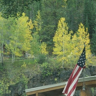 Profile Picture of Ben Roels (@ben_roels) on Twitter