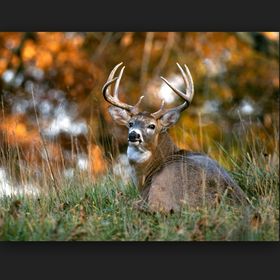 Profile Picture of David Strubberg (@davidstrubberg) on Pinterest