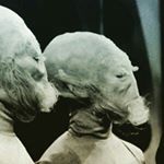 Profile Picture of Magda Dolata (@szerszenisko) on Instagram