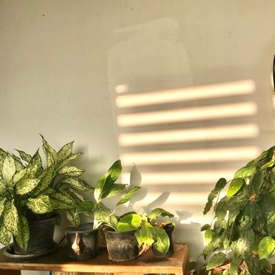 Profile Picture of Jeong Lin (@skincarebykt) on Twitter