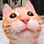 Profile Picture of Michael Keating (@mkeating44) on Flickr