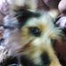 Profile Picture of Marc Andrews (@marc.andrews.5243) on Facebook