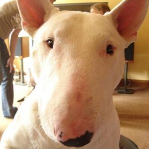 Profile Picture of Anne Turnbull (@tartan_monkey) on Myspace