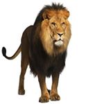 Profile Picture of Leonard Francis Morgan Sr. (@leonardfrancismo) on Instagram