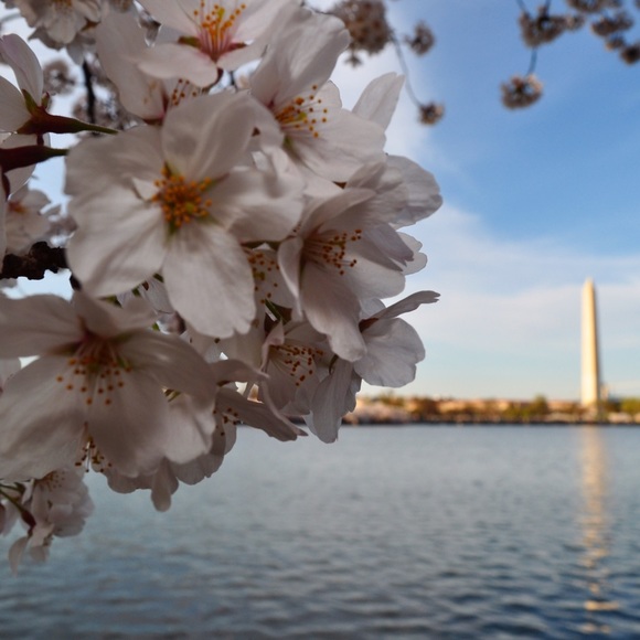 Profile Picture of Greta Grinberg (@genrietta) on Poshmark