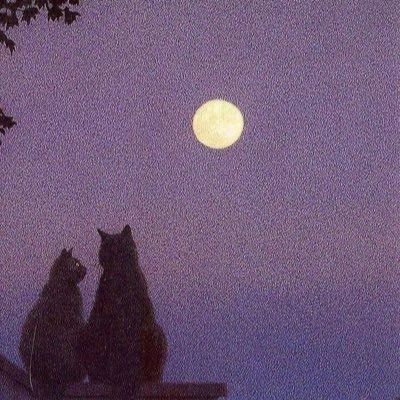 Profile Picture of Anisa Qureshi (@Anisaqureshi69) on Twitter