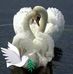 Profile Picture of Lupe Macias (@lupe.macias.503) on Facebook