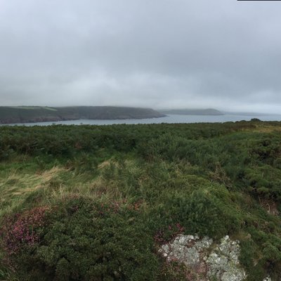 Profile Picture of Matthew Marriott (@ManicMatt365) on Twitter