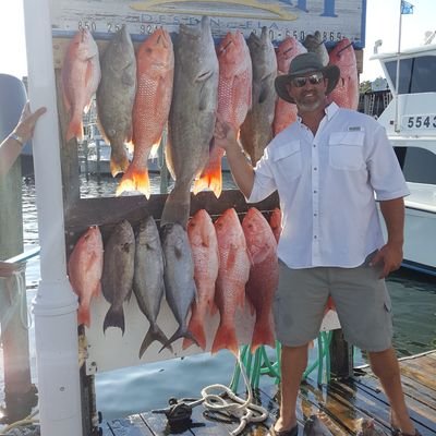 Profile Picture of Paul Snellings (@PSnells1) on Twitter