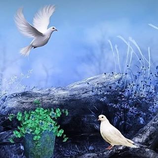 Profile Picture of HOliday All Days (@holiday.alldays) on Facebook