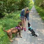 Profile Picture of Katie Blackwell Dog Walking & Care (@katie_blackwell_dogwalking) on Instagram