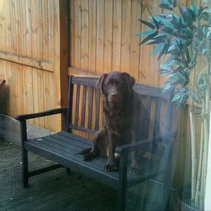 Profile Picture of Dan Cairney (@danj309) on Twitter