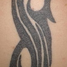 Profile Picture of Joe Downie (@cronixer) on Myspace