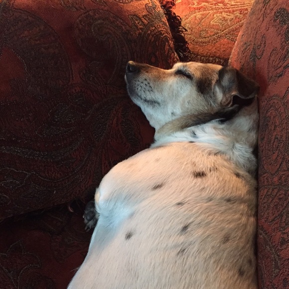 Profile Picture of Aricka O'gorman (@aricka_rose) on Poshmark