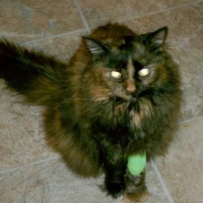 Profile Picture of Becky McBeth (@@987ac3cc2b5448c) on Twitter