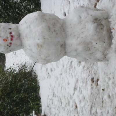 Profile Picture of Michael Lazorik (@mikelazorik) on Twitter