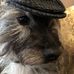 Profile Picture of Thomas Blackmoor (@thomas.blackmoor) on Facebook