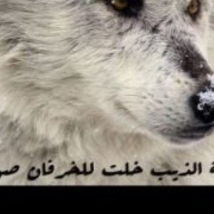 Profile Picture of Wiley Lexie (@lexie_me19) on Twitter