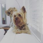 Profile Picture of james blick (@james.blick) on Instagram