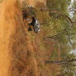 Profile Picture of Andrew Denyer (@denyer.andrew) on Instagram