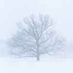 Profile Picture of Jason Charton (@chartonj3) on Instagram