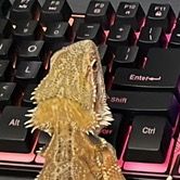 Profile Picture of Joshua Sidney (@joshua.sidney36) on Tiktok