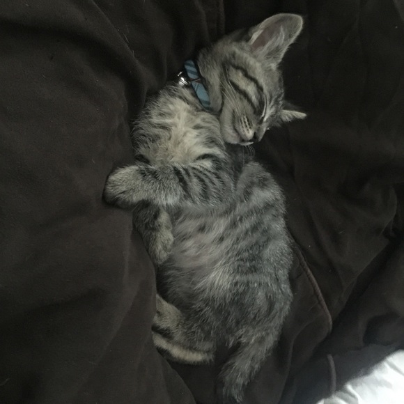 Profile Picture of Jade Herbert (@jadeayebear) on Poshmark