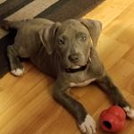 Profile Picture of jeff lovett (@lovett2793) on Instagram