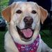 Profile Picture of Kevin Ostrowski (@sundog_rocks) on Pinterest