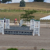 Profile Picture of Sandra Stevens (@sandrastevens9516) on Youtube