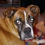 Profile Picture of Amelia Conley (@aconley45) on Instagram