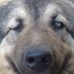 Profile Picture of Giovanni Calvi (@giovanni.calvi.773) on Facebook