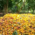 Profile Picture of Adamo Braman (@Adamo-Braman) on Facebook