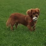 Profile Picture of Jimmy Griffiths (@griffiths_jimmy) on Instagram