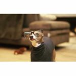 Profile Picture of Haylee Rose Harless (@eelyah_esor) on Instagram