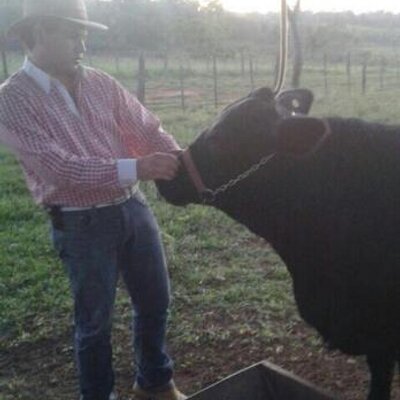 Profile Picture of David German (@portiarrechea) on Twitter