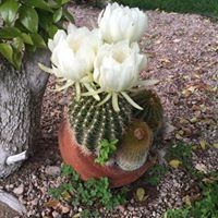 Profile Picture of Kate Hicks (@kate-hicks-6) on Quora