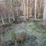 Profile Picture of bryan_dufrene (@bryan_dufrene) on Instagram